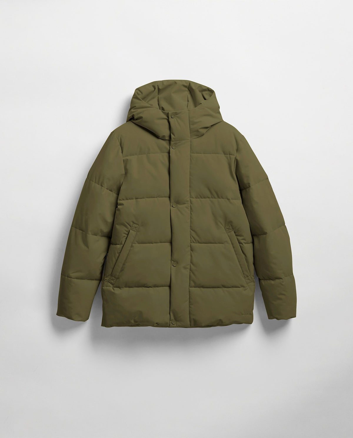 129 OLIVE