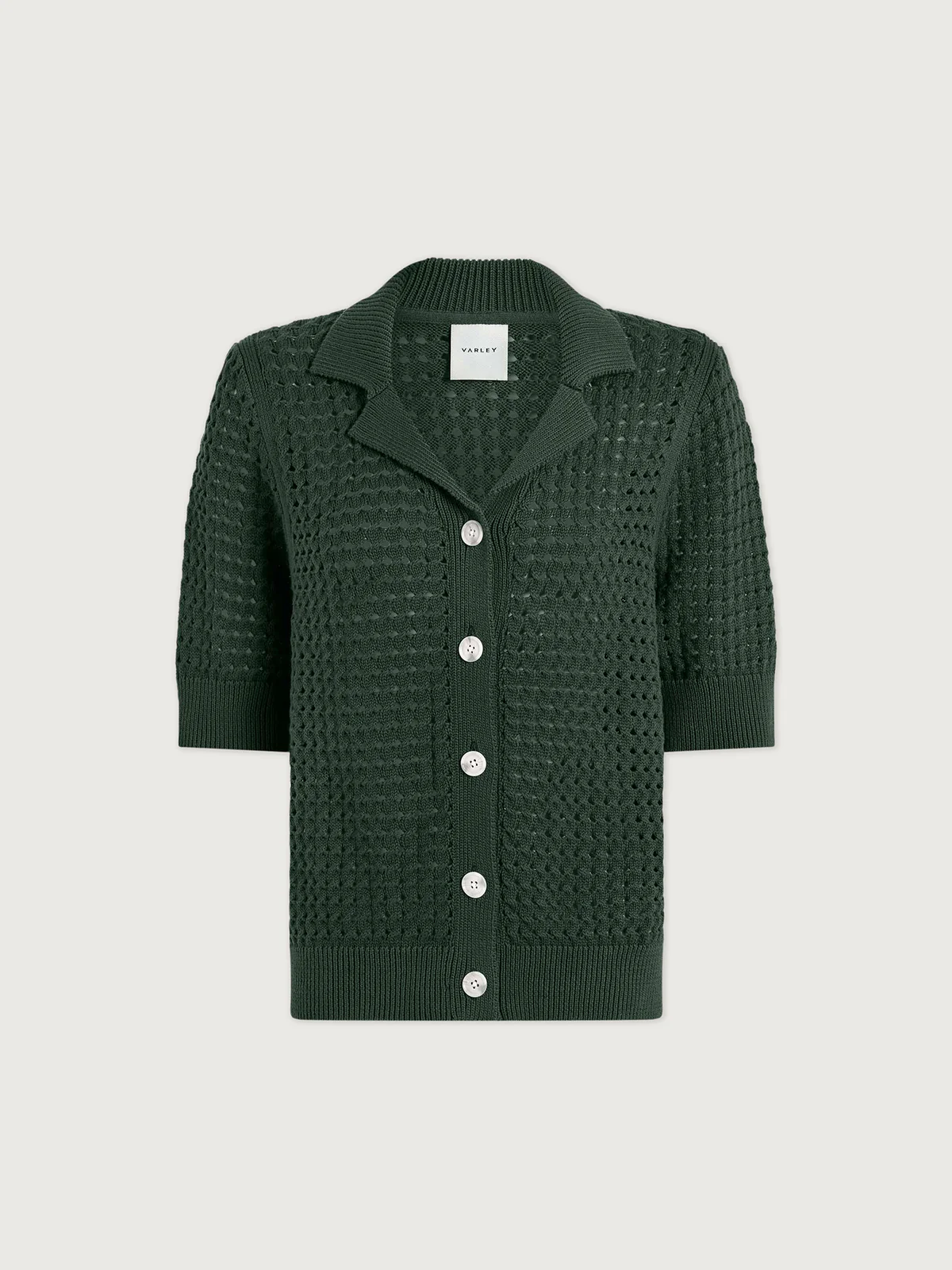 CILANTRO