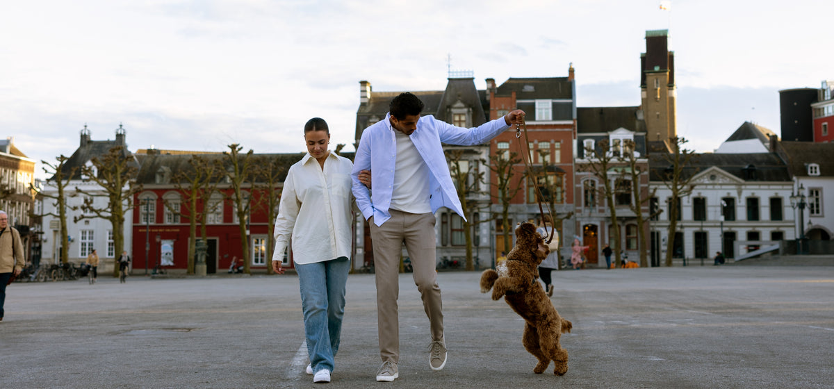 ANTRACITE IN MAASTRICHT
