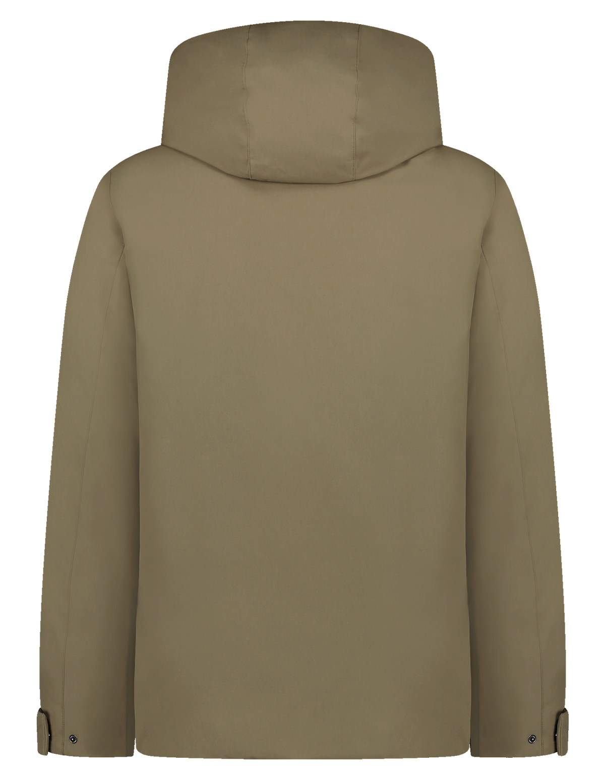 209 MARTINI OLIVE