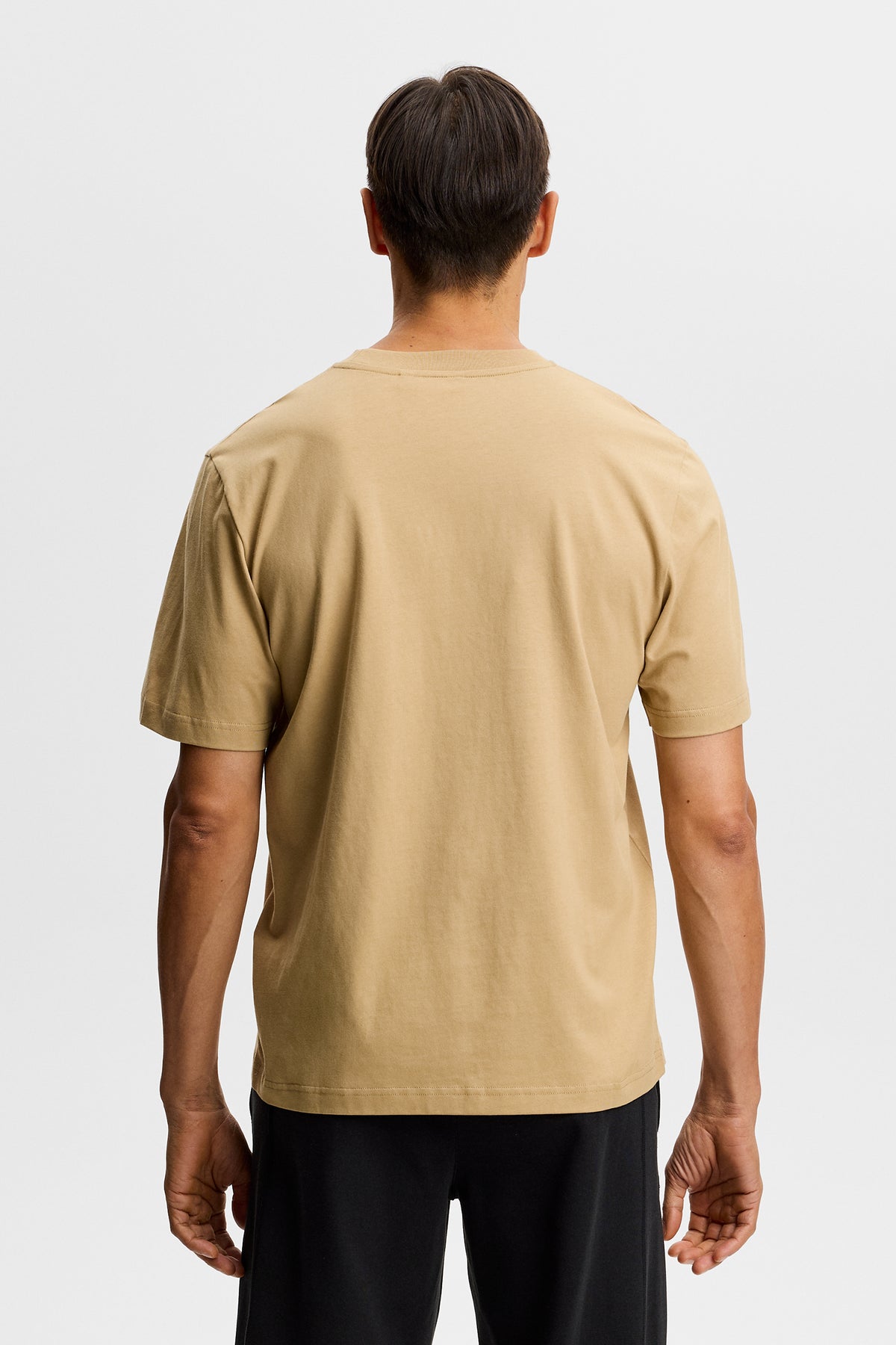 E188 KELP