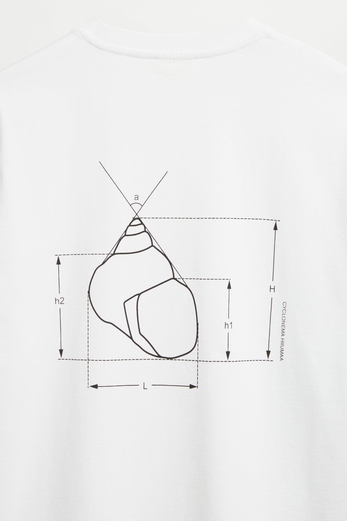 100 WHITE