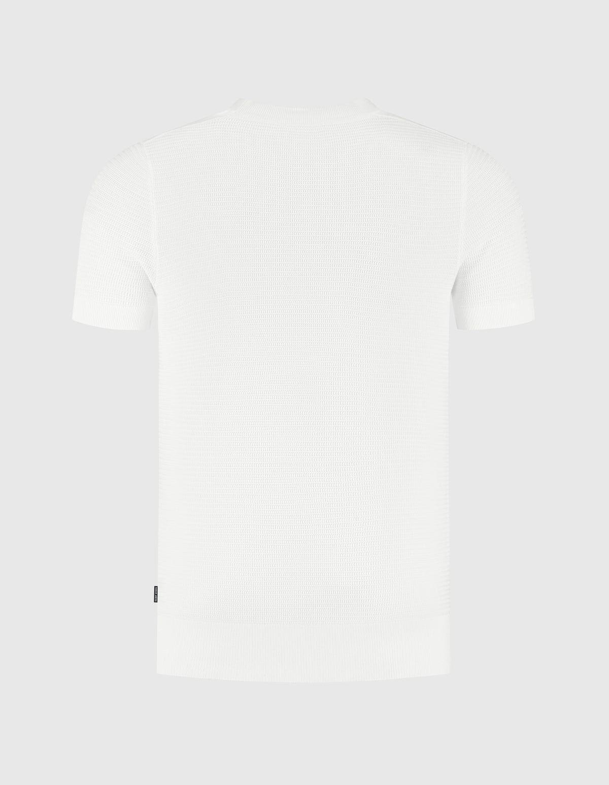 10000 WHITE